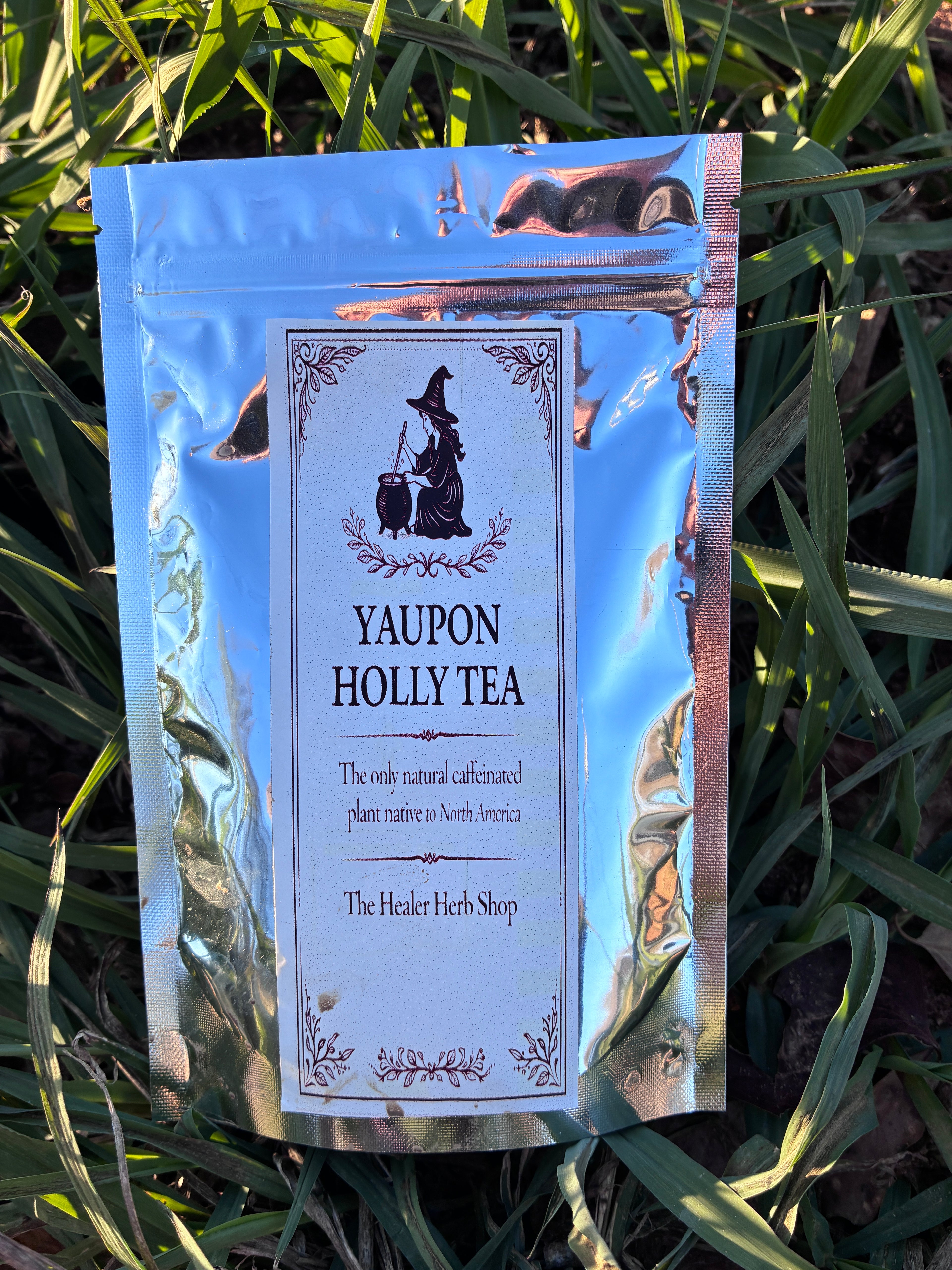 Yaupon Holly Tea