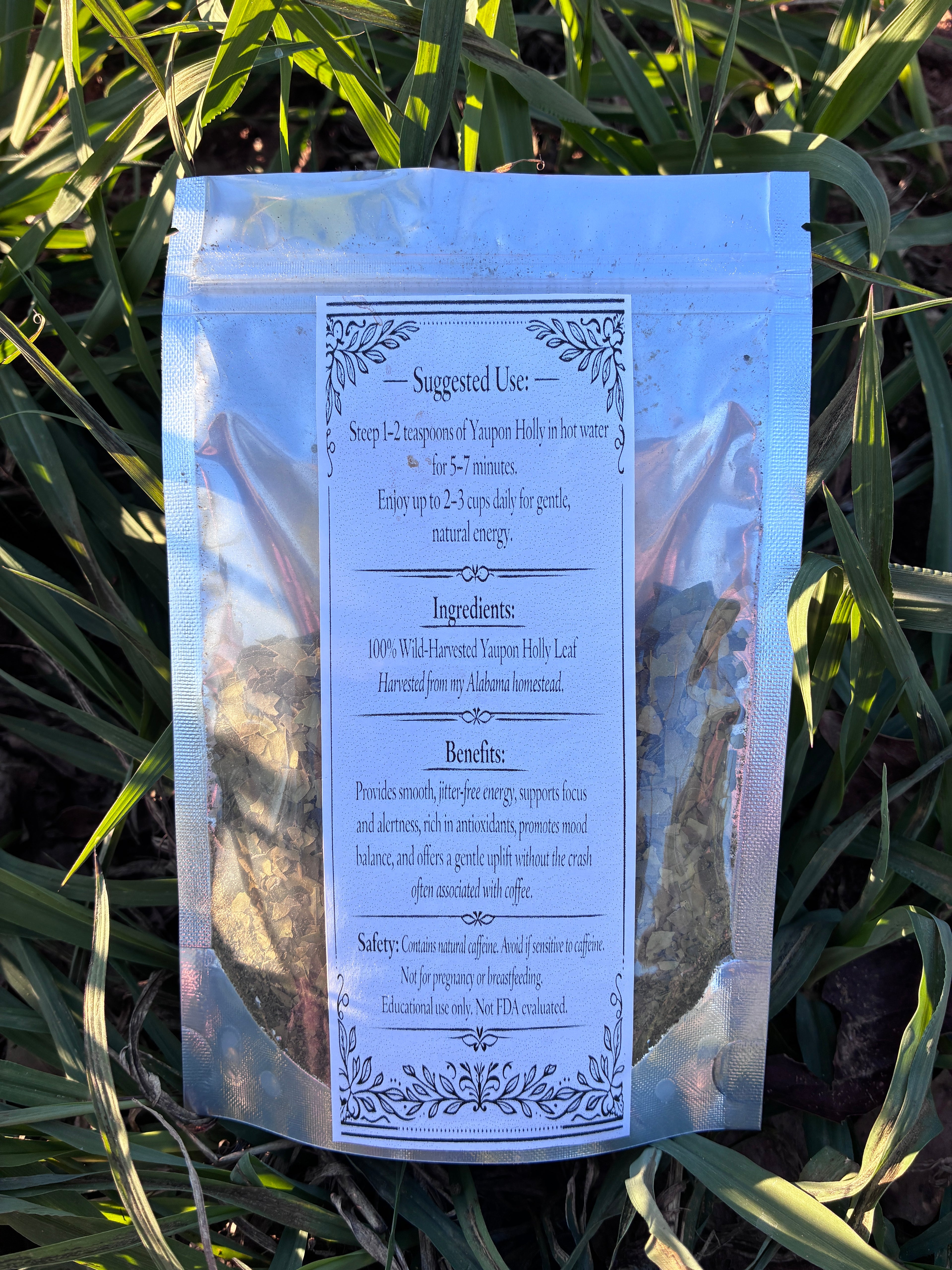 Yaupon Holly Tea