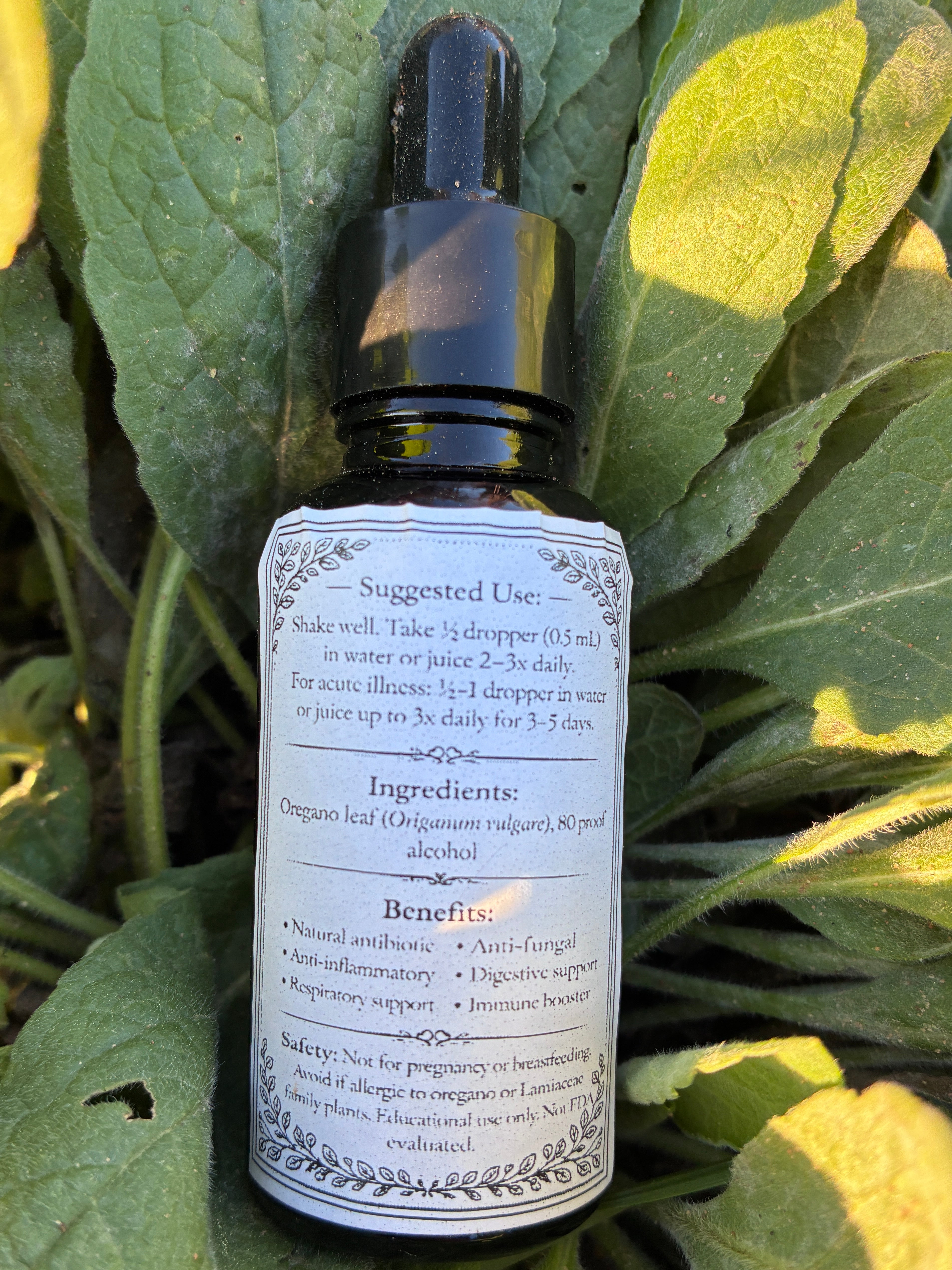 Oregano Tincture